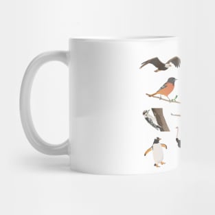 Various Birds Mug